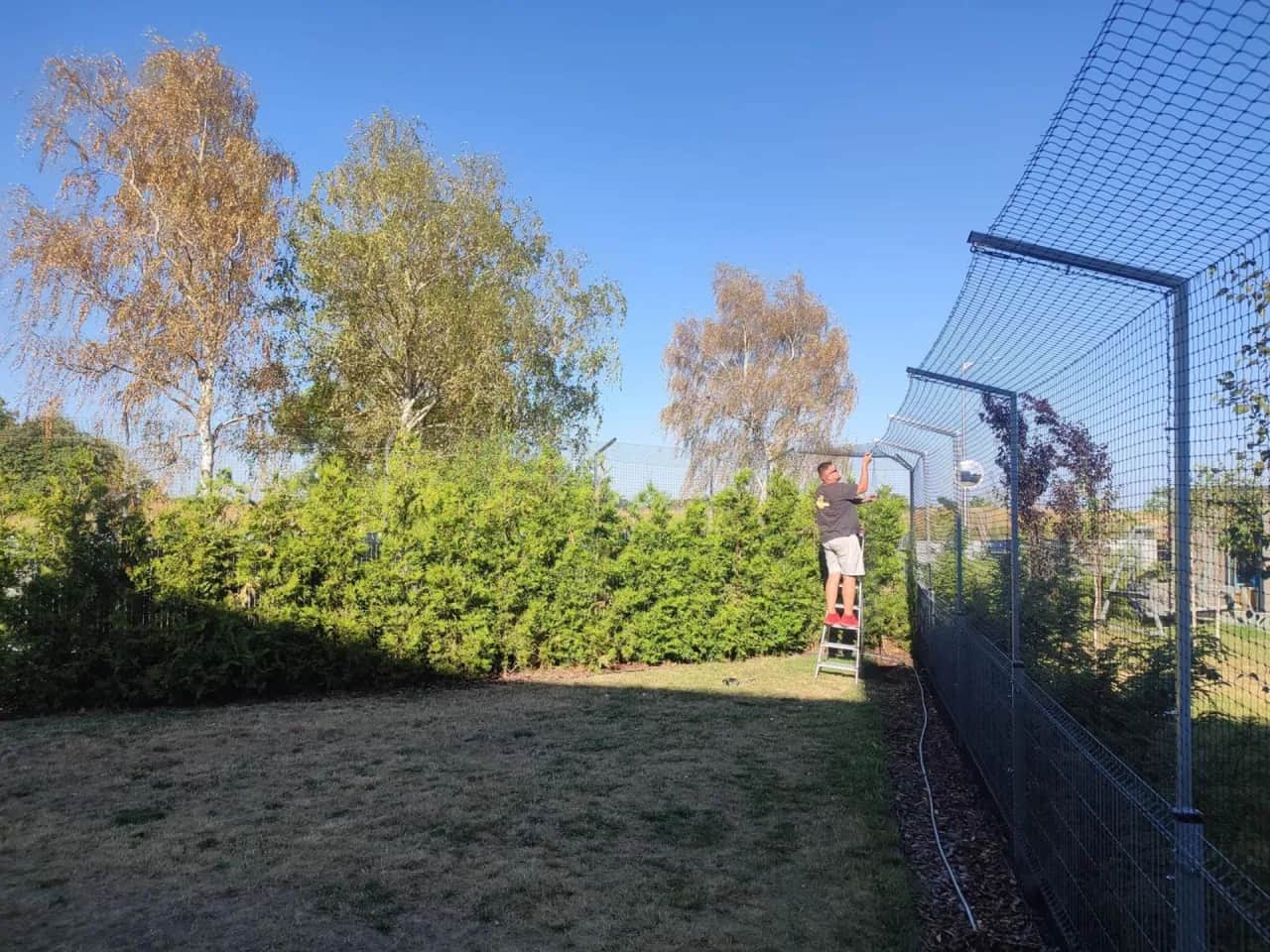 Skuteczne sposoby na zabezpieczenie płotu przed kotem i uniknięcie ucieczek